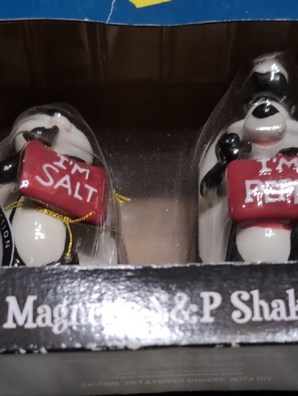 Salt & Pepper Shaker Set - Red Accents